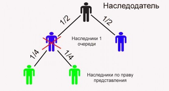 Фото: Наследование по праву представления. Наследственная трансмиссия