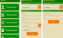 Фото: Мобильное приложение от ФССП России "Банк данных исполнительных производств"