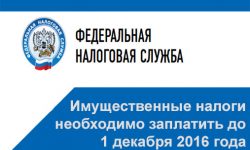 Фото: Имущественные налоги нужно заплатить до 1 декабря