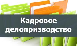 Фото: Особенности ведения кадрового делопроизводства