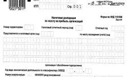 Фото: Новая форма декларации по налогу на прибыль организаций